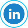 icona-linkedin